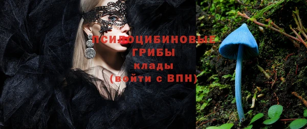 скорость Пестово