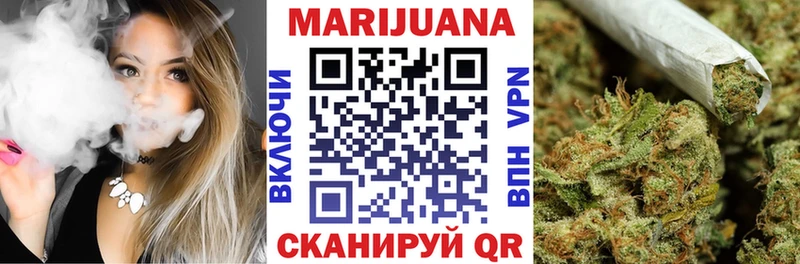 Конопля ГИДРОПОН  где купить   Чекалин 